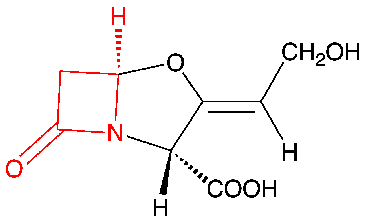 clavulanic acid with amoxicillin